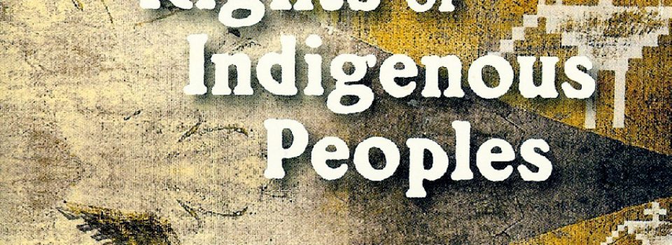 United Nations Declaration on the Rights of Indigenous Peoples